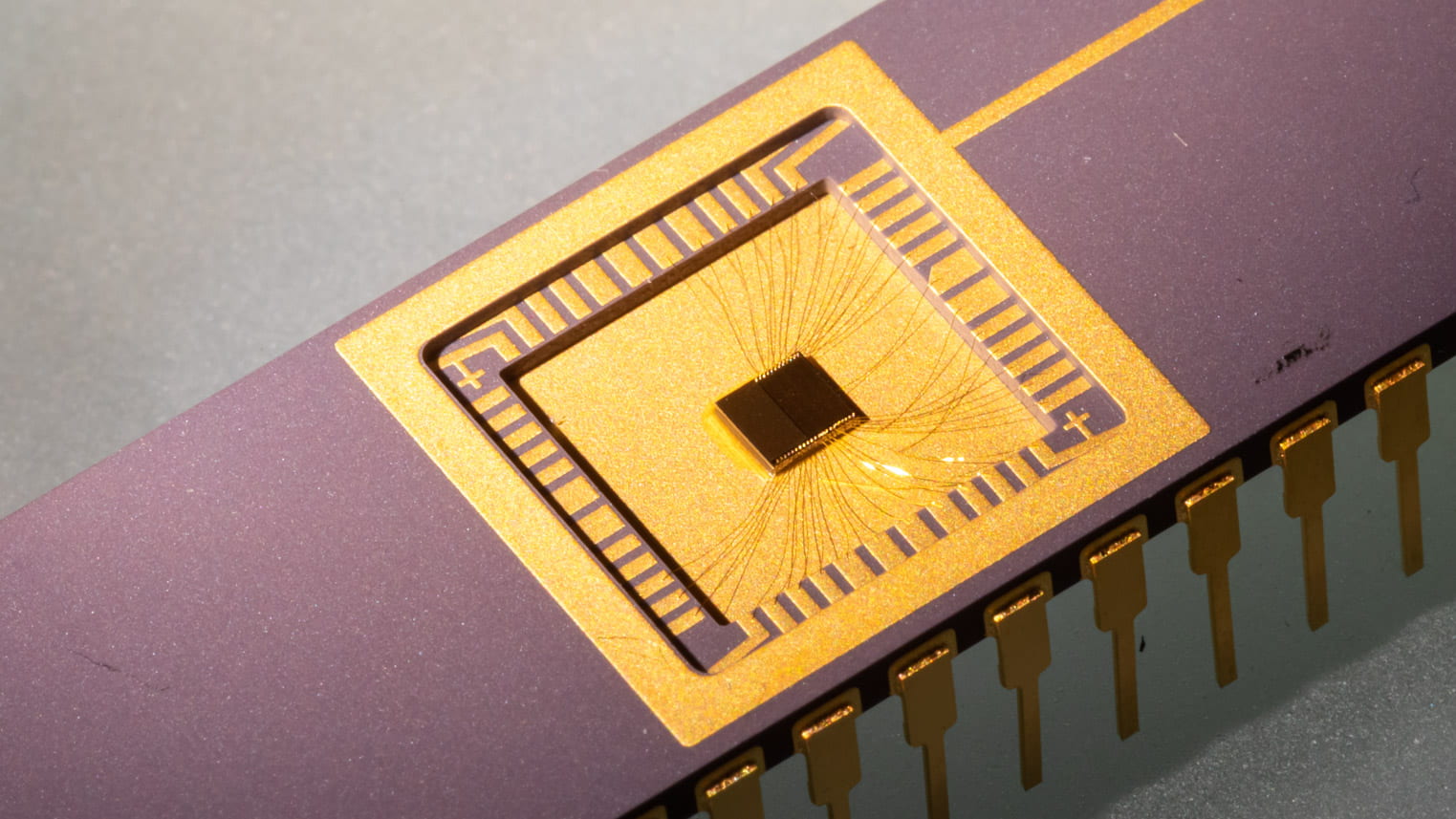 Photo of computer chip