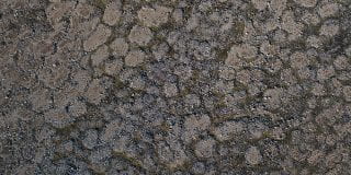 Photo of patterned ground
